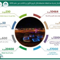 بالفيديو.. 45 آلية لإنزال الركاب من الطائرات بمطارات المملكة