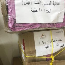 محافظ المسارحة يستقبل رئيس بلدية المحافظة ورئيس المجلس البلدي لمناقشة المشاريع البلدية بالمحافظة