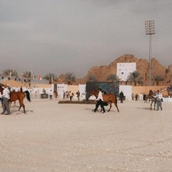 مختص: تقدم قضاء المملكة في مؤشر دافوس ٨ مراتب دليل تطوره