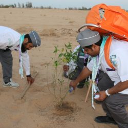 مفهوم المدن الصحية ومشاركة فريق فينا خير التطوعي