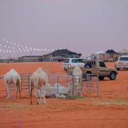 ليلة رياضية مكية بنادي الوحدة الرياضي