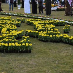 إلى الصفر وما دون الصفر على مناطق تبوك، الجوف، حائل وشرق المدينة المنورة