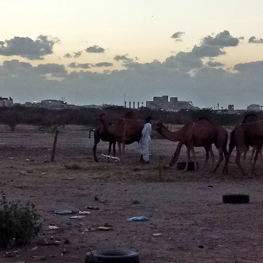 رقم هاتف الغرفة التجارية بجدة