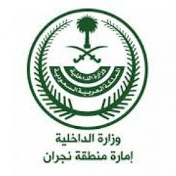 اللجنة الكشفية العربية الفرعية لتقنية المعلومات تجتمع عن بعد