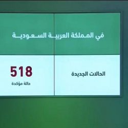 تنفيذ حكم القتل في اليمني منفذ الهجوم الإرهابي المسلح على الفرقة الاستعراضية في موسم الرياض