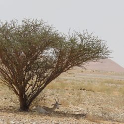 صحة نجران تواصل حملة الوادي الكريم تحت شعار “قطرة من دمك تعني حياة”