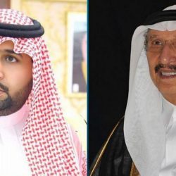 فيديو يكشف كيف اغتال أعضاء من حزب الله “الحريري” قبل 15 عاما