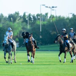 ” أكاديمية تطوير الذات ” بحلتها الجديدة