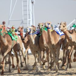 أمير دولة الكويت يهنئ خادم الحرمين الشريفين بنجاح قمة الرياض لمجموعة العشرين