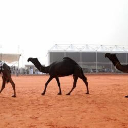 أرامكو‬⁩ السعودية : عودة الأعمال بشكلٍ طبيعي وكامل في محطة توزيع المشتقات البترولية في جازان