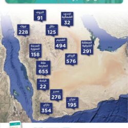 بالفيديو …..بنك التنمية الاجتماعية: يحق للعاطل الحصول على قرض بشرط واحد فقط