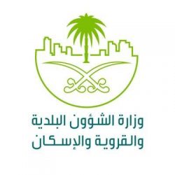 حالة الطقس المتوقعة اليوم الاثنين