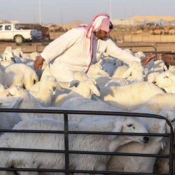 سمو أمير عسير يلتقي بفتيات دار الرعاية والحضانة الاجتماعية بالمنطقة