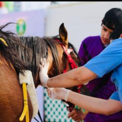 جامعة الملك فيصل تُرشح ضمن أفضل 8 جامعات آسيوية لعام 2021