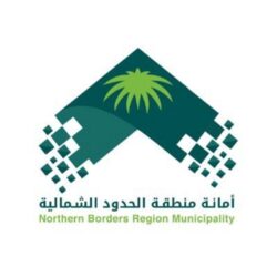 عابدي يختتم مشاركة المملكة التاريخية في الأولمبياد الشتوي