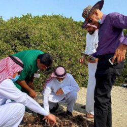 فرع وزارة الرياضة بمنطقة الجوف يطلق برنامج “الجوف الشبابي”