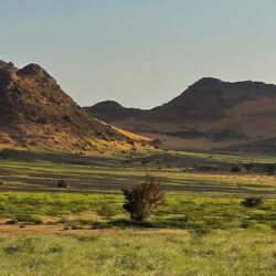 سمو أمير القصيم يضع حجر الأساس لمشروع بوابات بريدة التاريخية