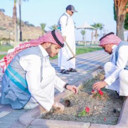 أمانة الطائف تعزز أعمال صيانة المسطحات الخضراء استعداداً لزوار الشتاء