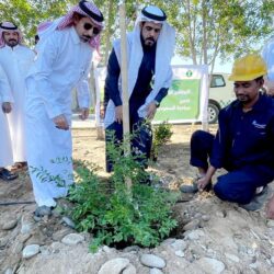 حرس الحدود بعسير يحبط تهريب (140) كيلوجرامًا من نبات القات المخدر