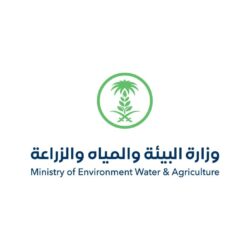 الجيانية يطير للمباراة النهائية بثنائية ضد صاحب البار في بطولة المرحوم عبدالمجيد علي عكور