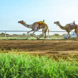 مدير تعليم الطائف يزور جمعية الطائف الصحية لمرضى السرطان