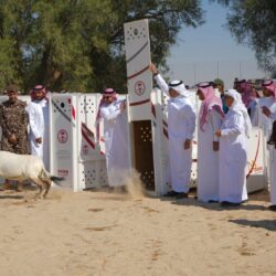 ستة أندية متوجة بطاولة الجنوب