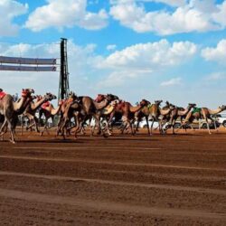 مضر والنور يجتازان المحيط والقارة في الجولة السادسة من دوري ممتاز اليد