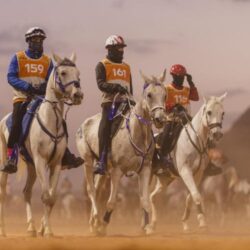 أمير منطقة جازان يُدشّن ويضع حجر الأساس لـ 73 مشروعًا مائيًّا وبيئيًّا في المنطقة بكُلفة تجاوزت 4.7 مليارات ريال