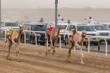 أرضية ميدان الطائف للهجن أعلى المعايير العالمية