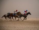 ميدان فروسية الجبيل يقيم سباقه الـ ١٤ للموسم الحالي ١٤٤٢هـ