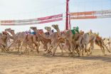 الهجن البحرينية تنتزع نجومية رموز اللقايا في رابع أيام نهائي مهرجان ولي العهد للهجن3