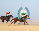 ميدان فروسية الجبيل يقيم حفل سباقه الثاني