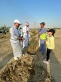 مبادرة لتشجير الغابة الخضراء بجدة