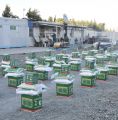 مركز الملك سلمان للإغاثة يوزع مساعدات غذائية وإيوائية في محافظة غازي عنتاب لمتضرري الزلزال في سوريا وتركيا